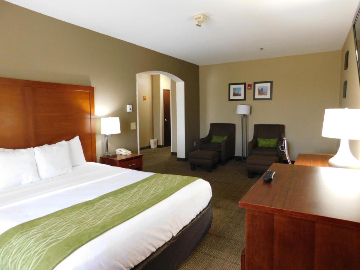 Comfort Inn & Suites Sacramento - University Area Kültér fotó