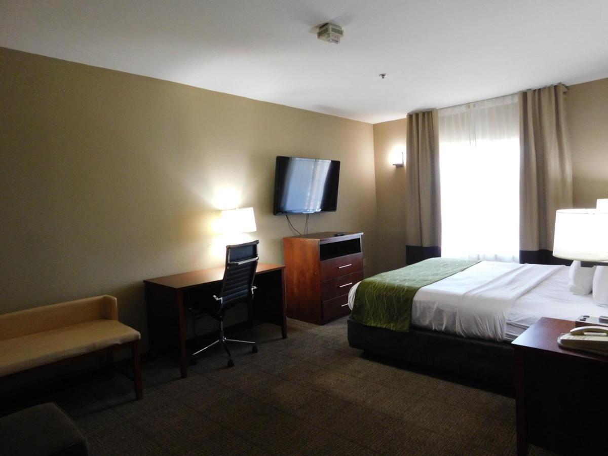 Comfort Inn & Suites Sacramento - University Area Kültér fotó