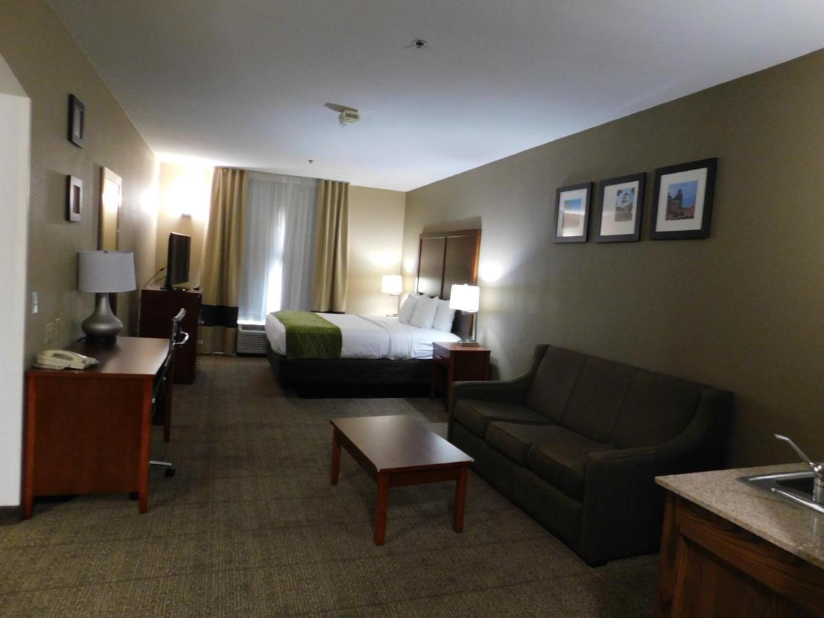 Comfort Inn & Suites Sacramento - University Area Kültér fotó