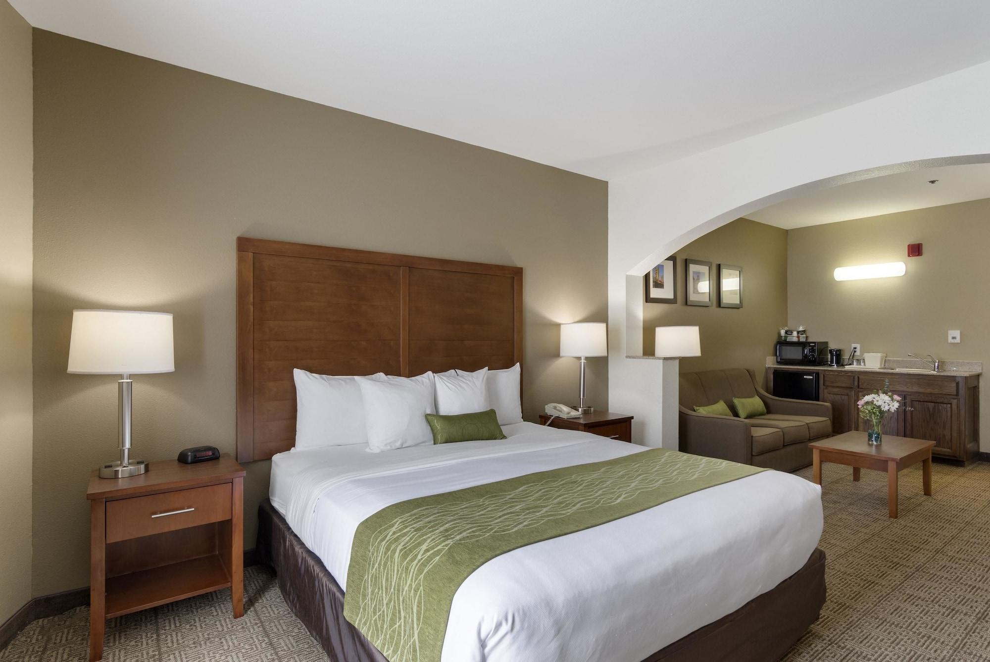 Comfort Inn & Suites Sacramento - University Area Kültér fotó