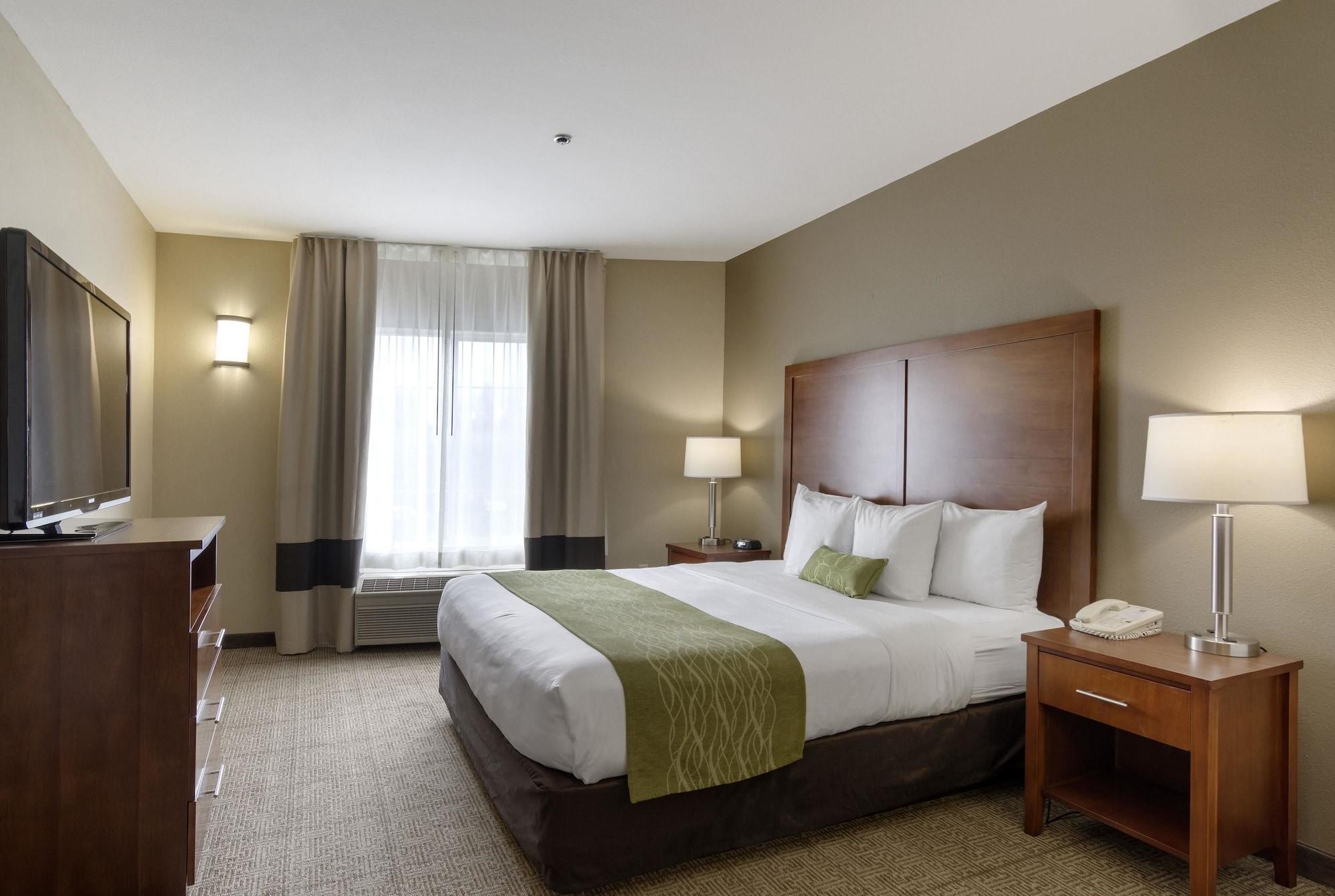 Comfort Inn & Suites Sacramento - University Area Kültér fotó