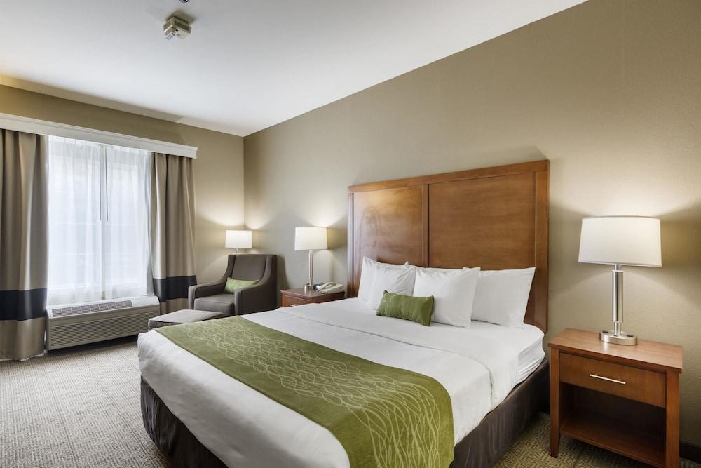 Comfort Inn & Suites Sacramento - University Area Kültér fotó
